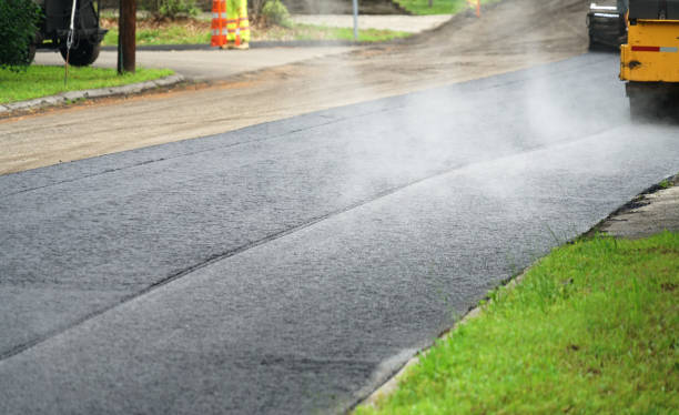 Best Local Driveway Pavers  in Andusia, AL